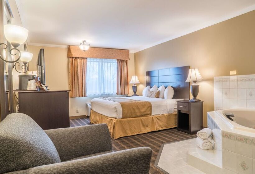 호텔 Best Western Inn & Suites