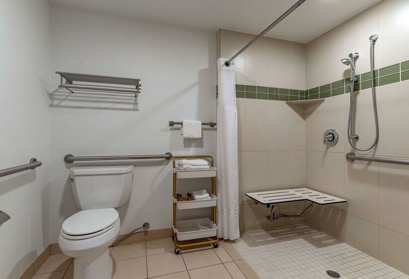 هتل Best Western Plus Executive Suites