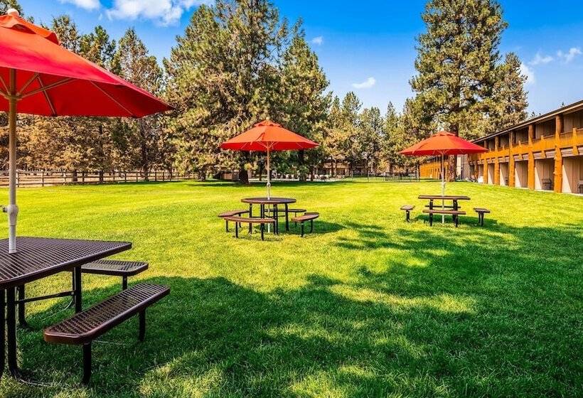 호텔 Best Western Ponderosa Lodge
