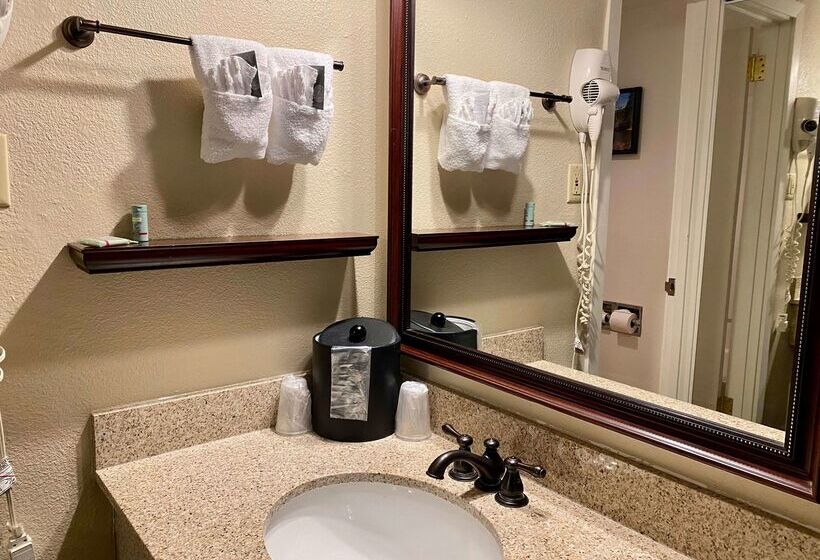 فندق Best Western Sheridan Center