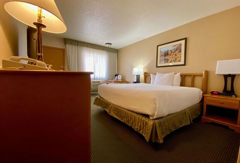 Hotel Best Western Sheridan Center