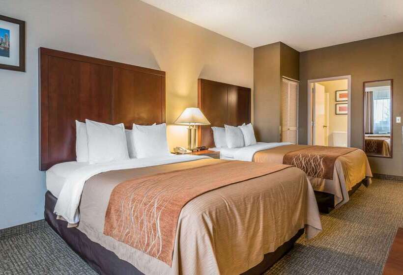 Отель Comfort Inn And Suites Seattle