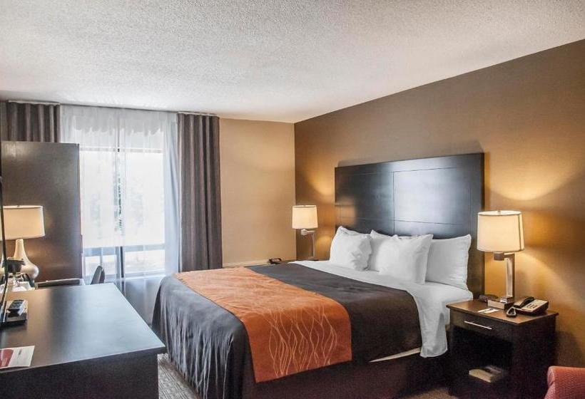 Hotel Comfort Inn Brampton