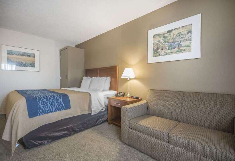 ホテル Comfort Inn
