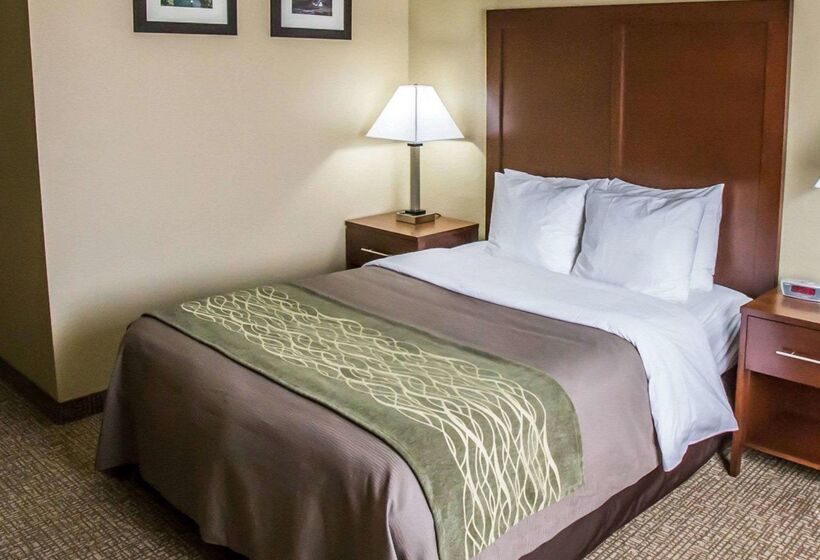 酒店 Comfort Inn Morris I80