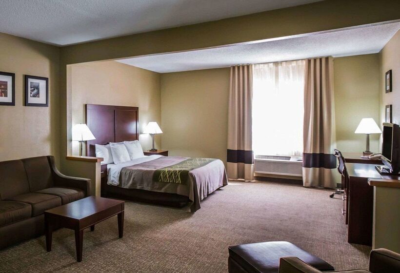 酒店 Comfort Inn Morris I80