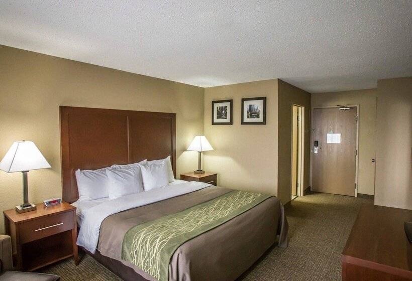 酒店 Comfort Inn Morris I80