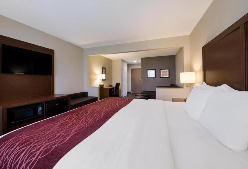 هتل Comfort Inn Onalaska  La Crosse Area