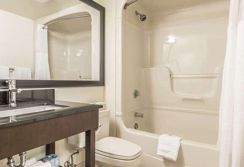 ホテル Comfort Inn