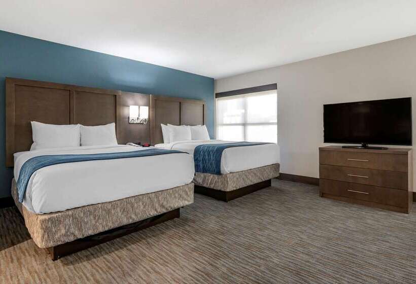 هتل Comfort Inn & Suites Downtown Brickell Port Of Miami
