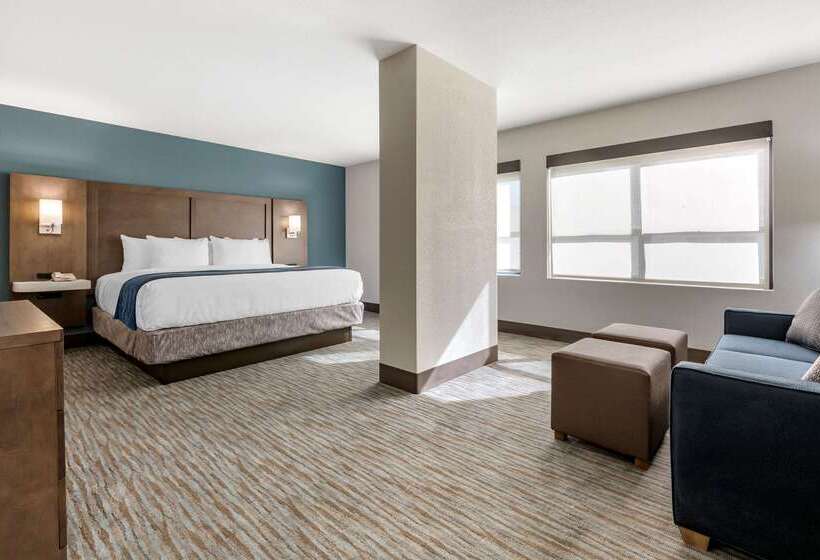 בית מלון כפרי Comfort Inn & Suites Downtown Brickell Port Of Miami