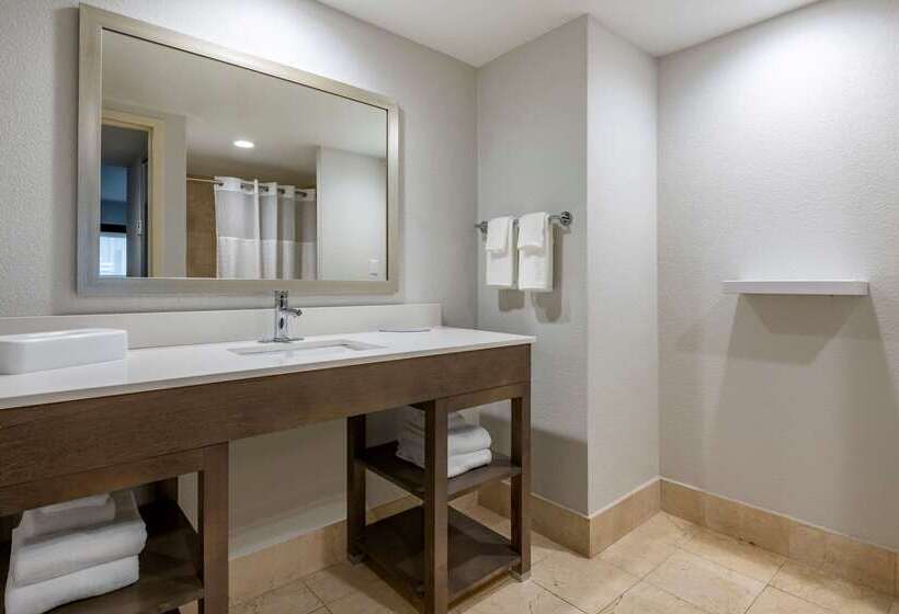 هتل Comfort Inn & Suites Downtown Brickell Port Of Miami