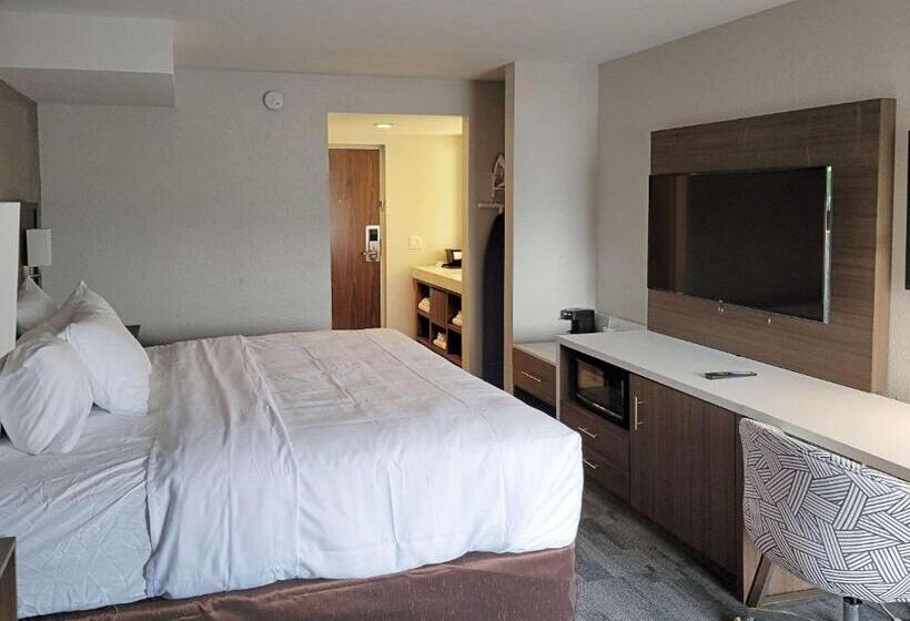 Отель Comfort Inn & Suites Wyomissing Reading