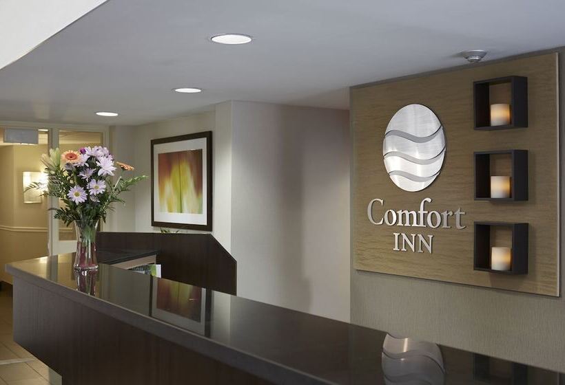هتل Comfort Inn