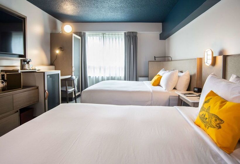 هتل Doubletree By Hilton St. John S Harbourview