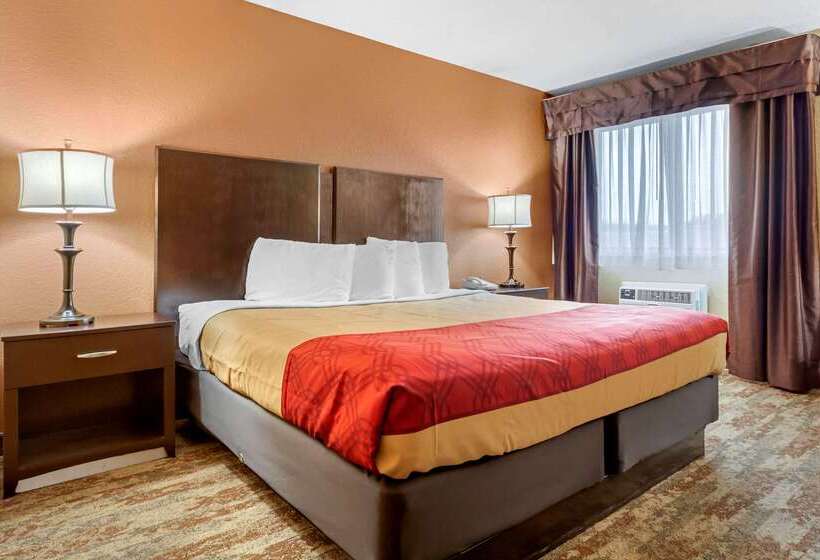 בית מלון כפרי Econo Lodge Black Hills
