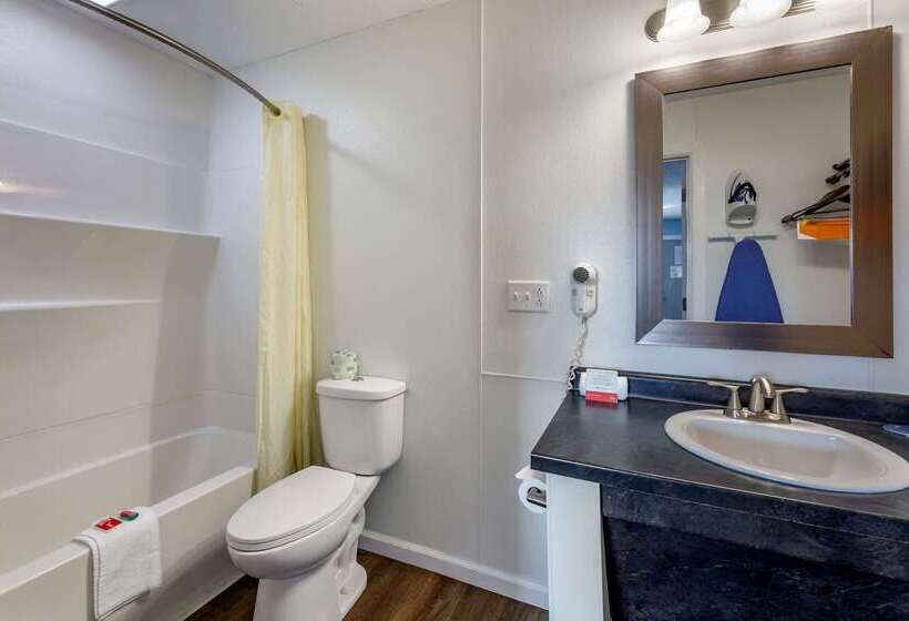 هتل Econo Lodge Inn & Suites South
