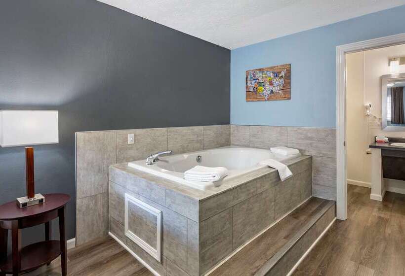 هتل Econo Lodge Inn & Suites South