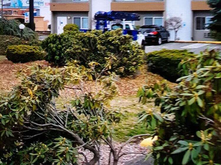 هتل Ocean Star Inn