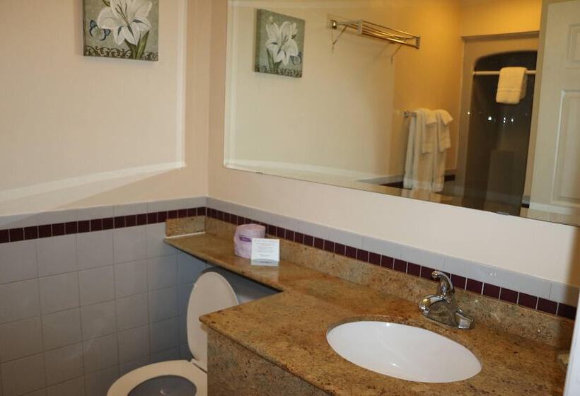 酒店 Riviera Inn And Suites 1000 Islands