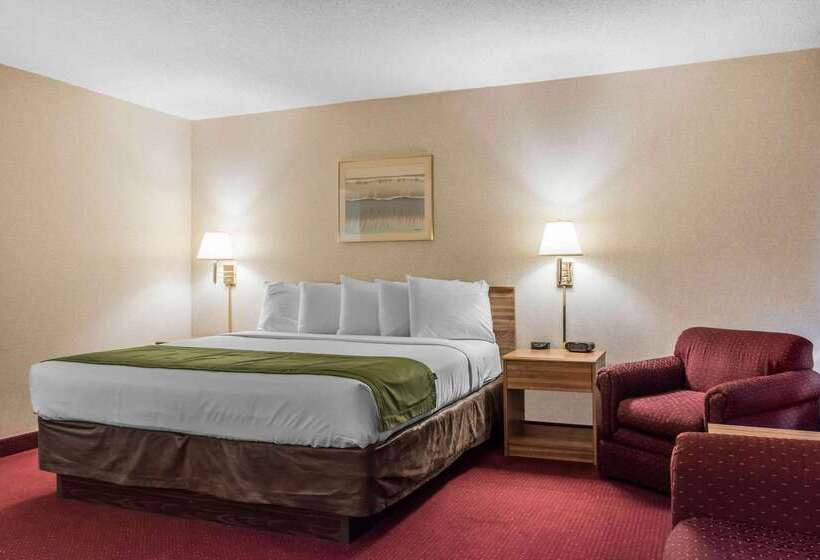 ホテル Quality Inn Arena