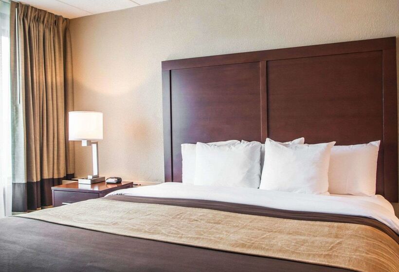 酒店 Quality Inn & Suites Orland Park   Chicago