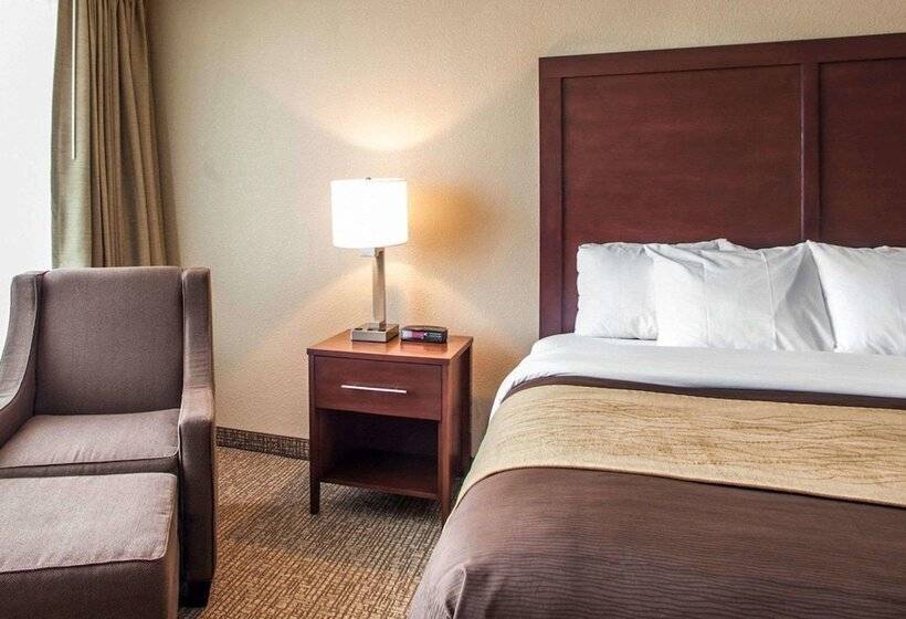 Отель Quality Inn & Suites Orland Park Chicago