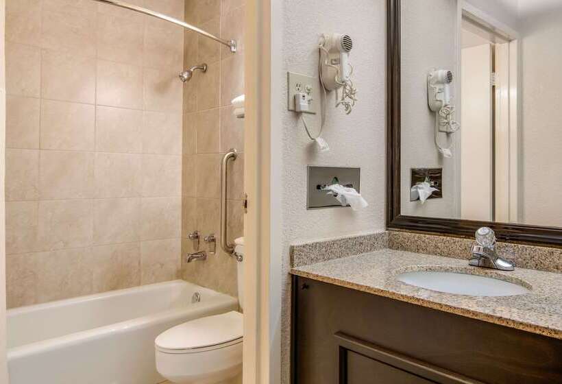 בית מלון כפרי Quality Inn Suwanee I85