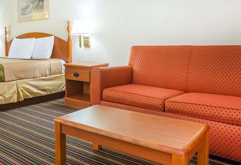 酒店 Rodeway Inn Stone Mountain