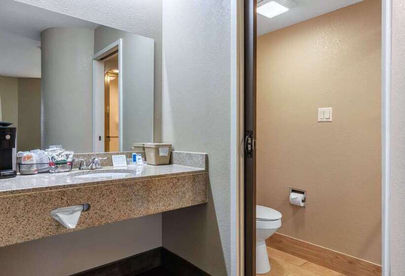 هتل Rodeway Inn Tuscaloosa Near University