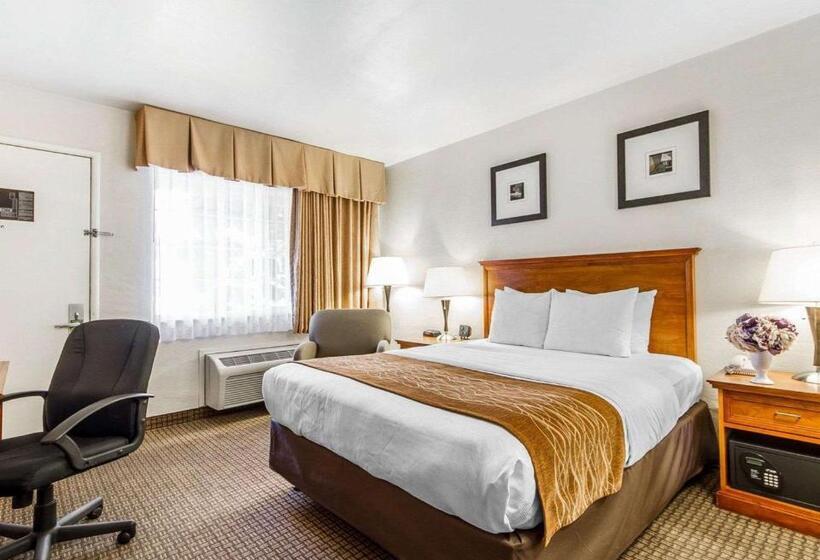 فندق The Inn At 1252 Monterey