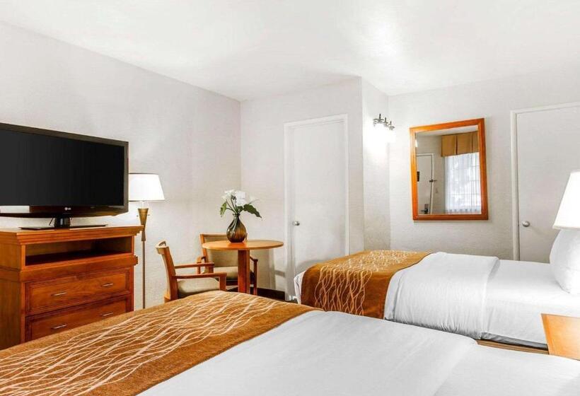 فندق The Inn At 1252 Monterey