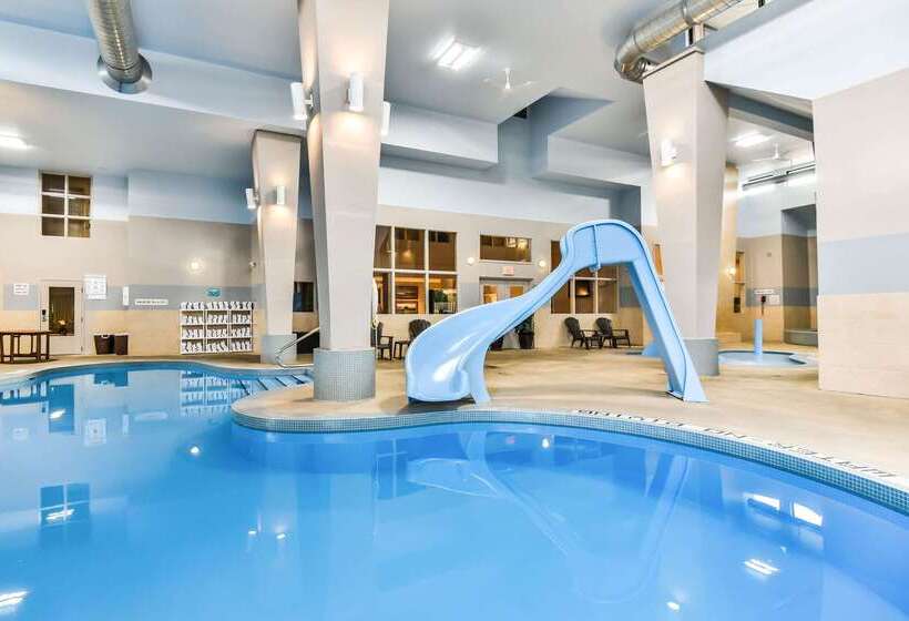 هتل Comfort Inn & Suites Ambassador Bridge