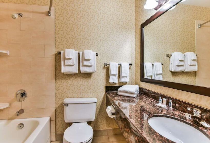 هتل Comfort Inn & Suites Ambassador Bridge