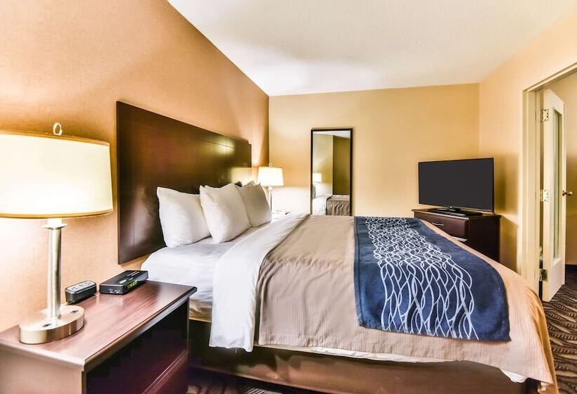 هتل Comfort Inn & Suites Ambassador Bridge
