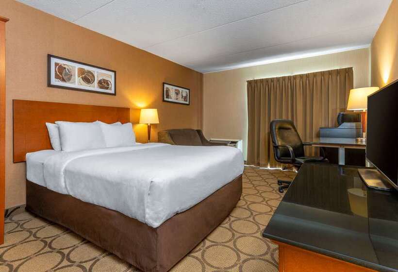 هتل Comfort Inn East