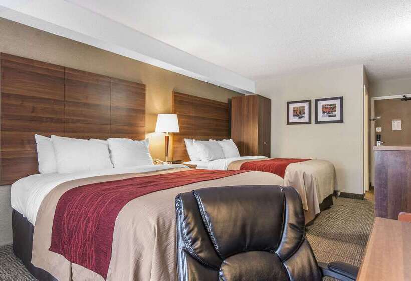 호텔 Comfort Inn