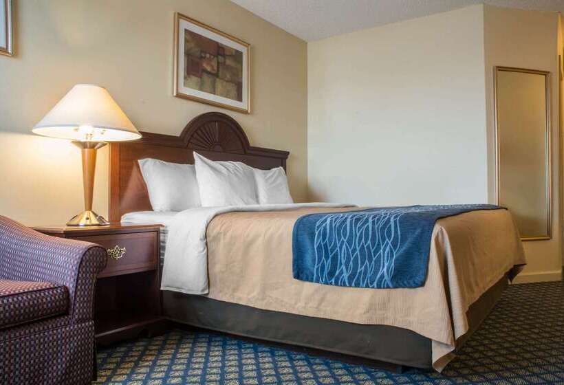 호텔 Comfort Inn & Suites