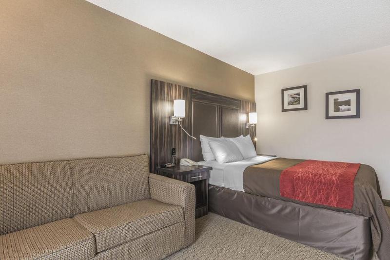ホテル Comfort Inn Trenton