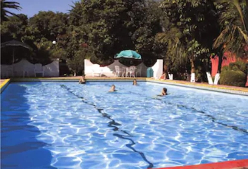 Hotel Los Olivos Spa