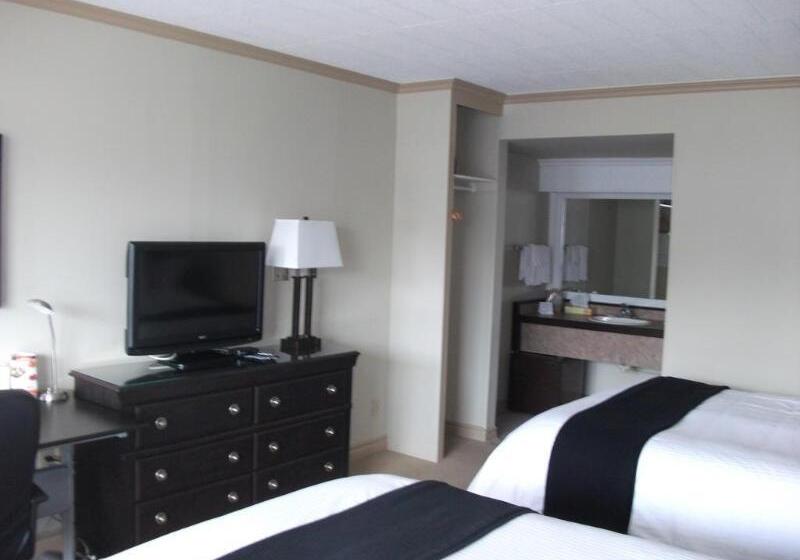 汽车旅馆 Rodeway Inn King William