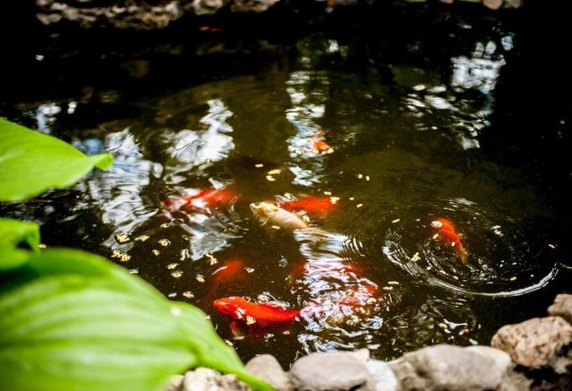 Fotos del hotel Beatrix:  16