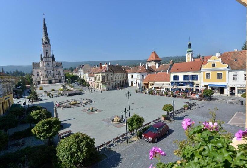 Hotel Irottko