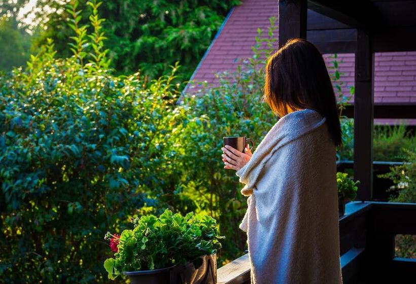 Fotos del hotel Petneházy Club  Superior:  48