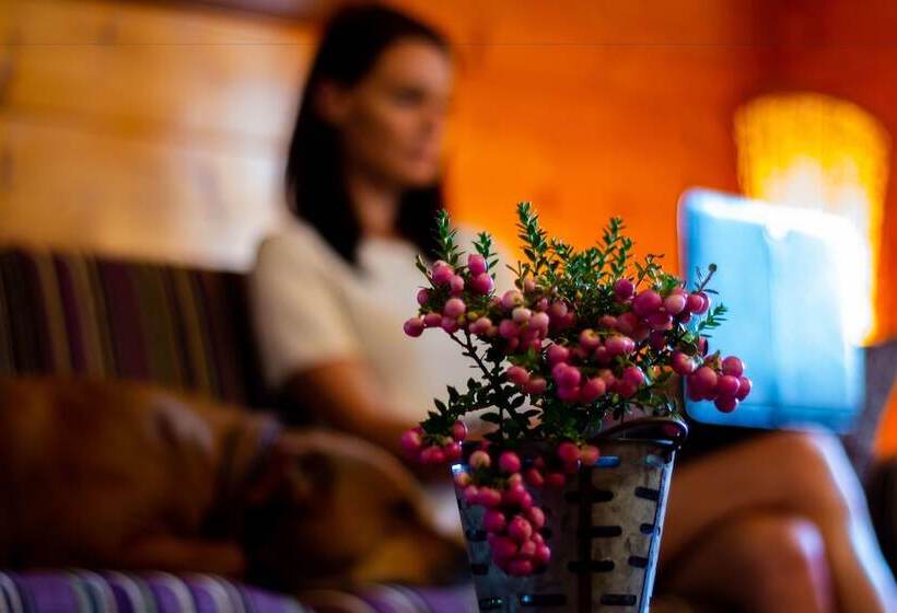 Fotos del hotel Petneházy Club  Superior:  43