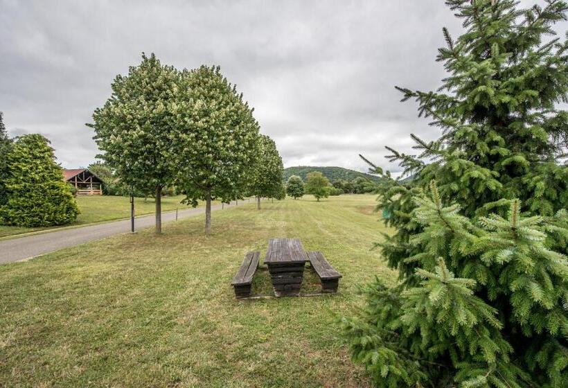 Fotos del hotel Petneházy Club  Superior:  21