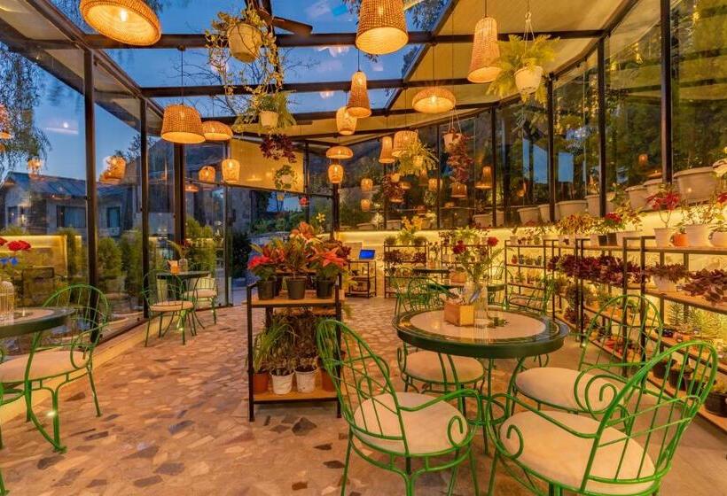 هتل Shervani Hilltop Resort