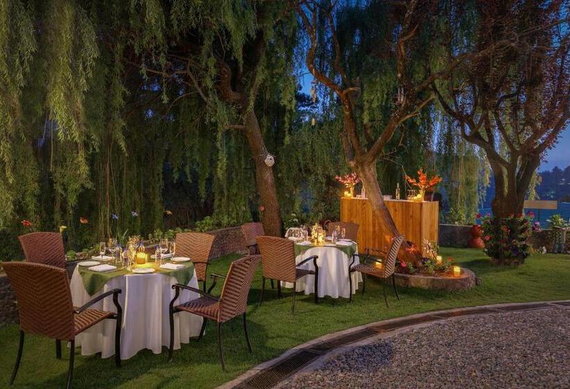 هتل Shervani Hilltop Resort