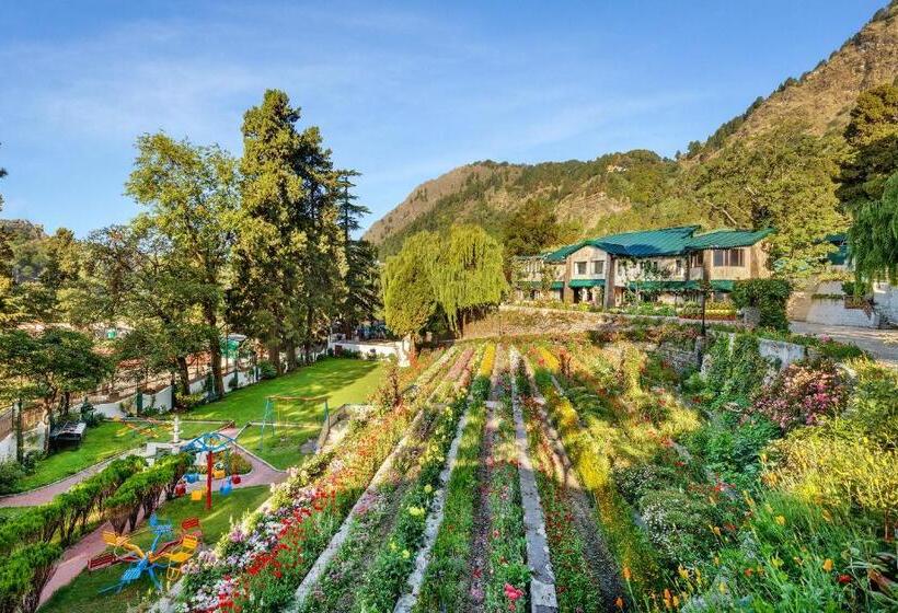 هتل Shervani Hilltop Resort