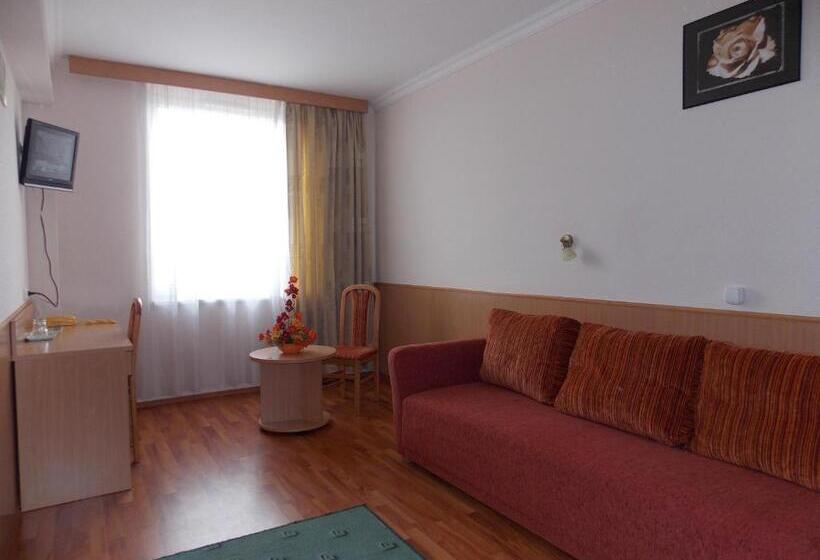 Fotos del hotel Zuglo:  24